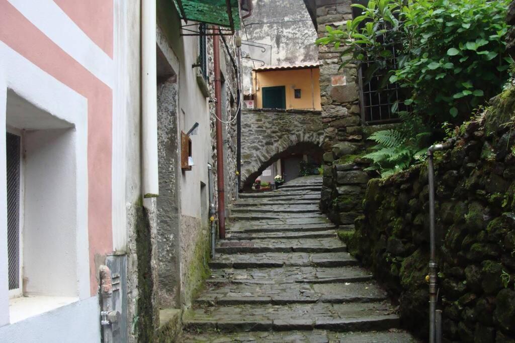 La Casetta Di Lory Apartment Biassa Exterior foto
